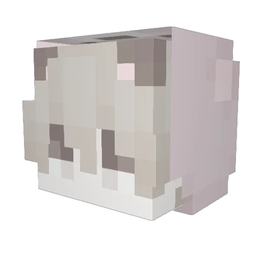 XArnieX Minecraft avatar head, 3D render
