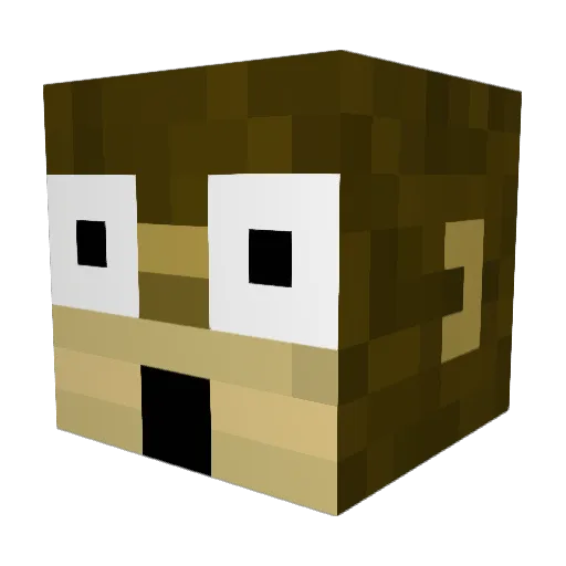XBONKS360 Minecraft avatar head, 3D render
