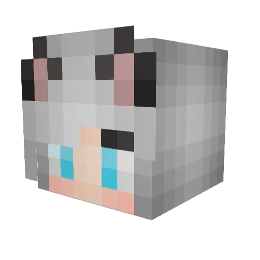 XB_LYM Minecraft avatar head, 3D render