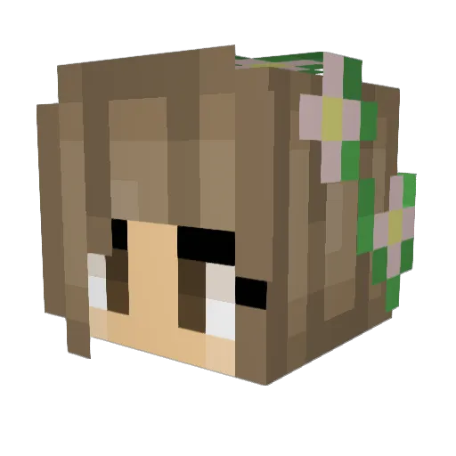 XBaeAlys Minecraft avatar head, 3D render