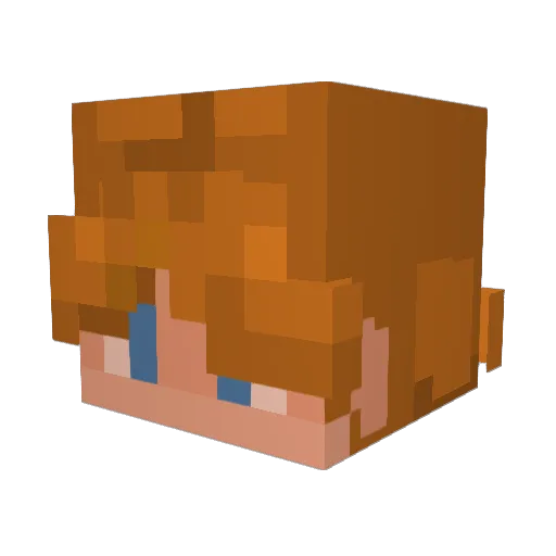 XBastion_UserX Minecraft avatar head, 3D render