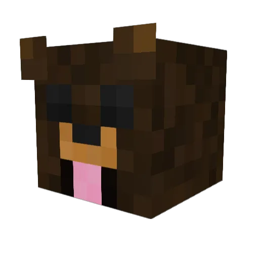 XBearmasterrX Minecraft avatar head, 3D render