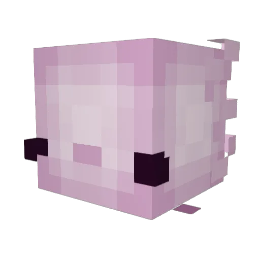 XBlackdeathX Minecraft avatar head, 3D render