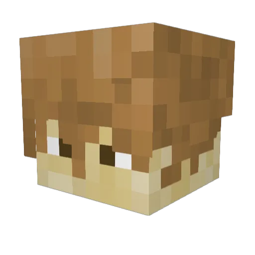 XBrat0X Minecraft avatar head, 3D render