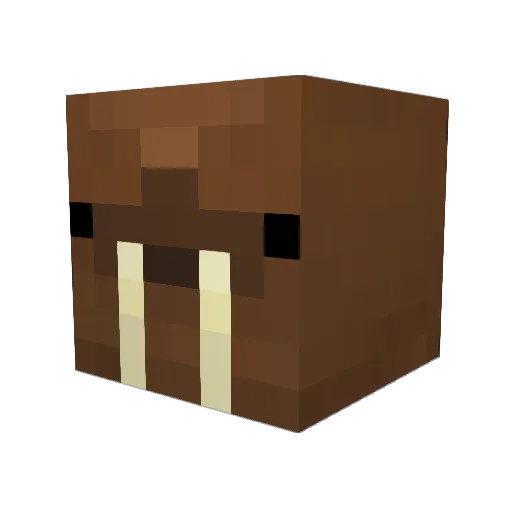 XCAPTAINANDRY03 Minecraft avatar head, 3D render
