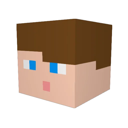 XCCRESISTANCEX Minecraft avatar head, 3D render