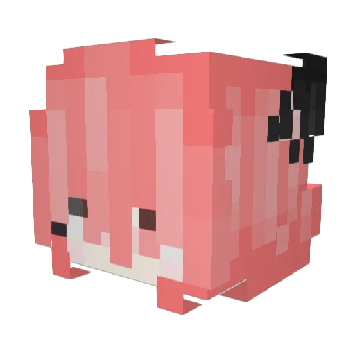 XC_Anay Minecraft avatar head, 3D render