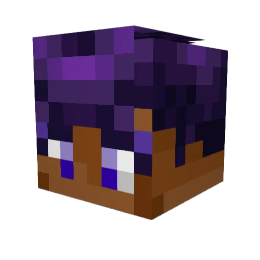 XCharazard Minecraft avatar head, 3D render