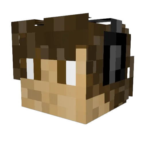 XCharizardX3891 Minecraft avatar head, 3D render