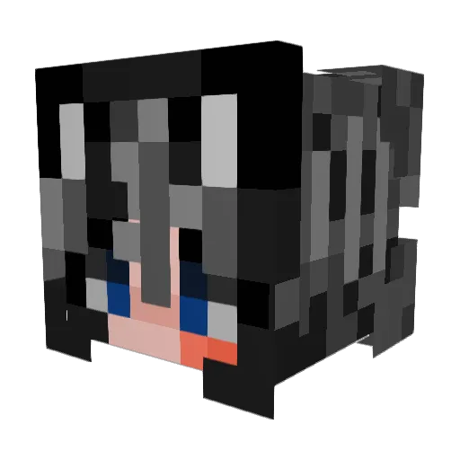 XCloudXCloucatX6 Minecraft avatar head, 3D render