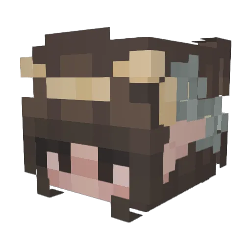 XD9667_x Minecraft avatar head, 3D render