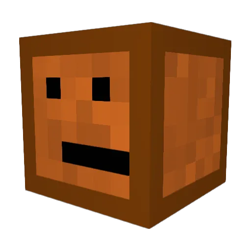 XDFlan Minecraft avatar head, 3D render