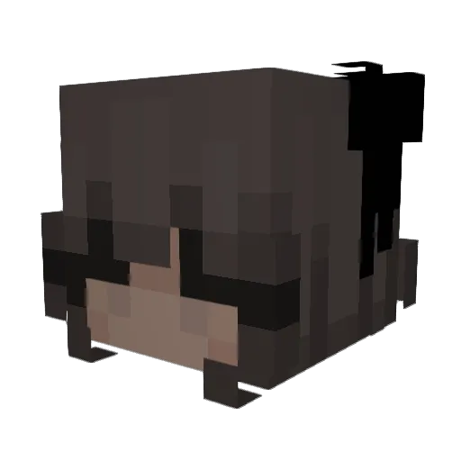 XDXDXDXDXDXD3315 Minecraft avatar head, 3D render