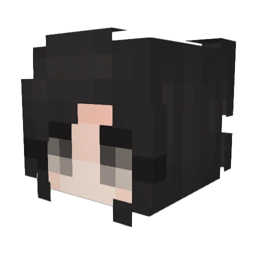 XDXZDXDXDXDXDXDD Minecraft avatar head, 3D render