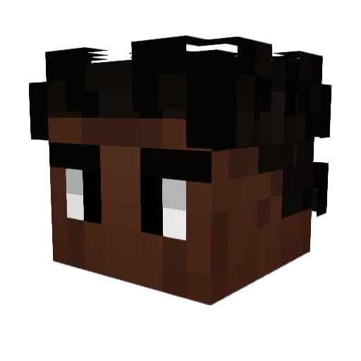 XD_C0DER Minecraft avatar head, 3D render