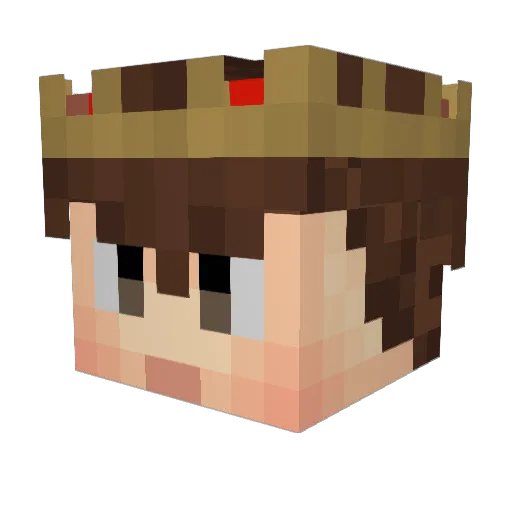 XD_Squally Minecraft avatar head, 3D render