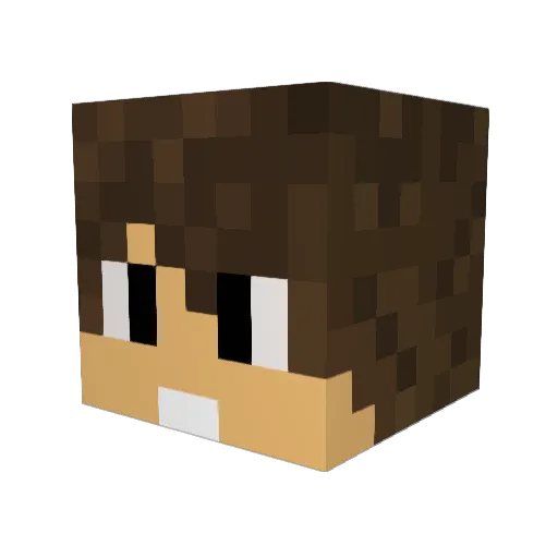 XDaniel_13X Minecraft avatar head, 3D render