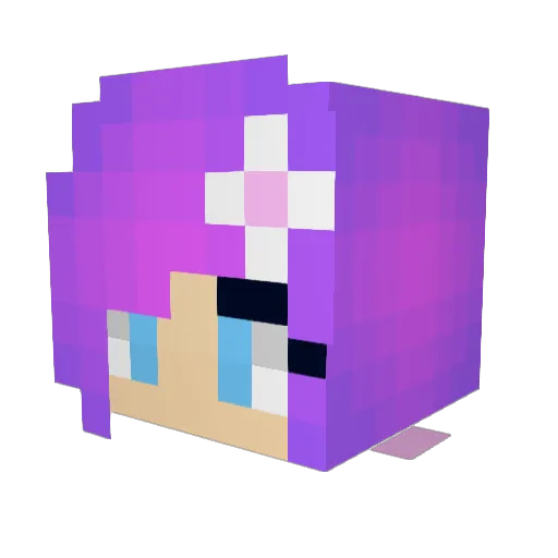 XDarkFlame121 Minecraft avatar head, 3D render