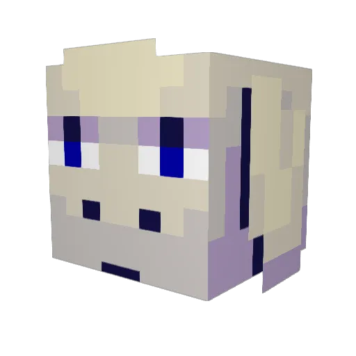 XDarkMiner99X Minecraft avatar head, 3D render