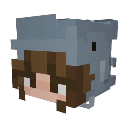 XDlieze Minecraft avatar head, 3D render