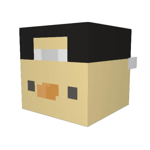 XDnibles Minecraft avatar head, 3D render
