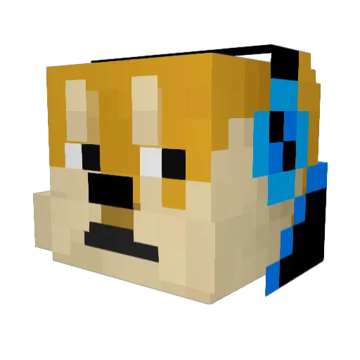 XDoge01 Minecraft avatar head, 3D render