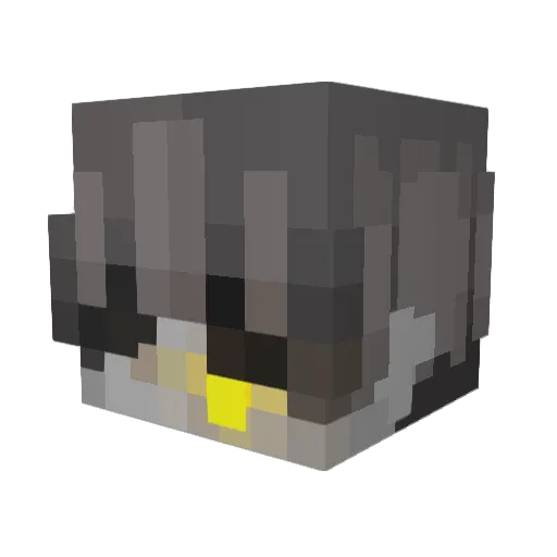 XDreww Minecraft avatar head, 3D render