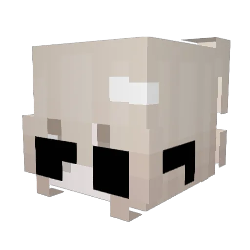 XDuckWall Minecraft avatar head, 3D render