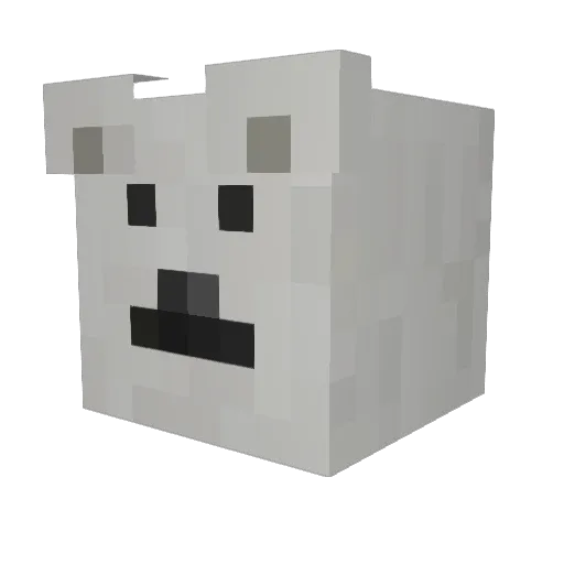 XEL8o9 Minecraft avatar head, 3D render