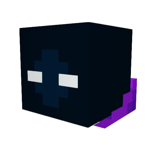 XEN0V3RSE Minecraft avatar head, 3D render