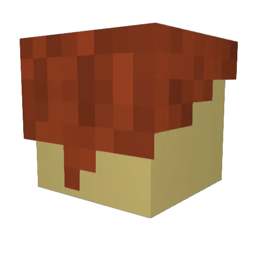 XENITH123 Minecraft avatar head, 3D render