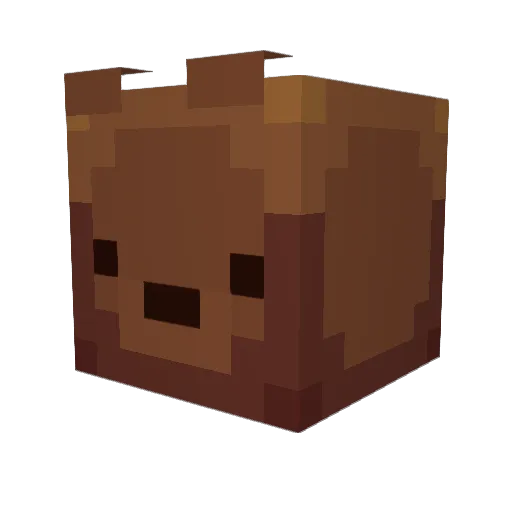 XENO000 Minecraft avatar head, 3D render