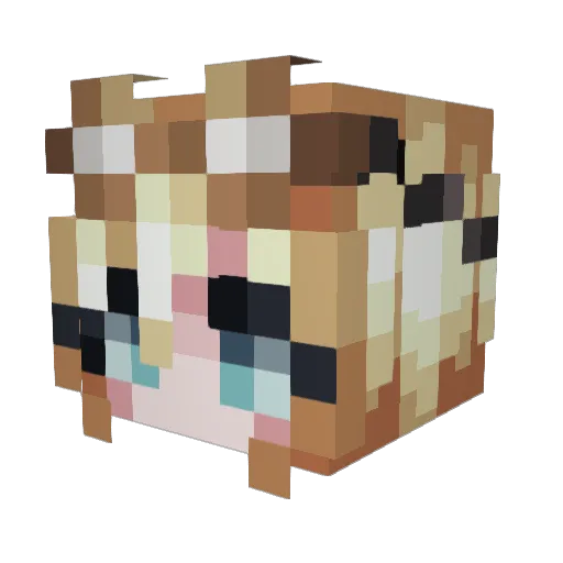 XENOVIARTX Minecraft avatar head, 3D render