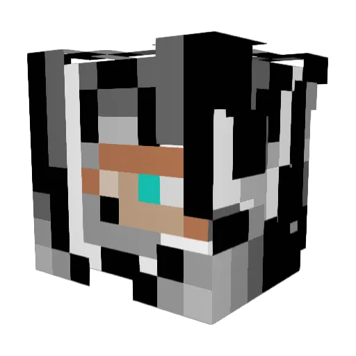 XEWizard_ttv Minecraft avatar head, 3D render