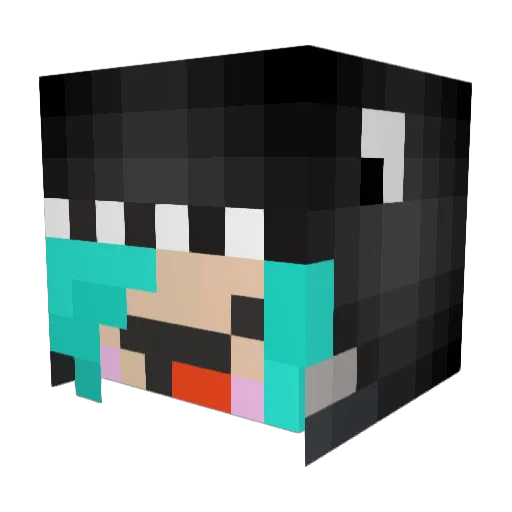 XEnderPas Minecraft avatar head, 3D render