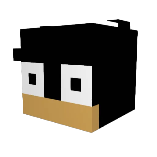 XFish67 Minecraft avatar head, 3D render