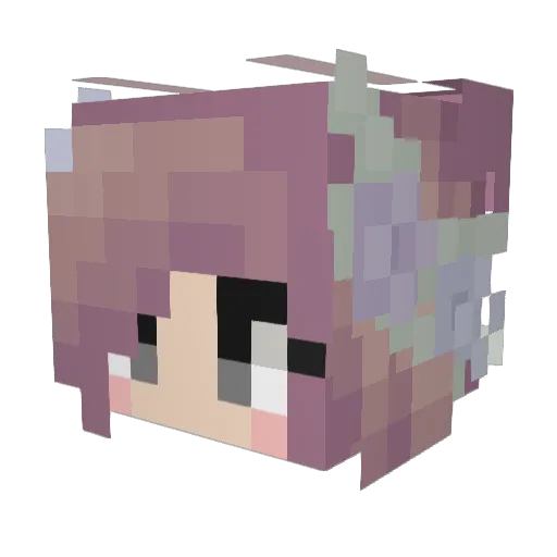 XForest1979 Minecraft avatar head, 3D render