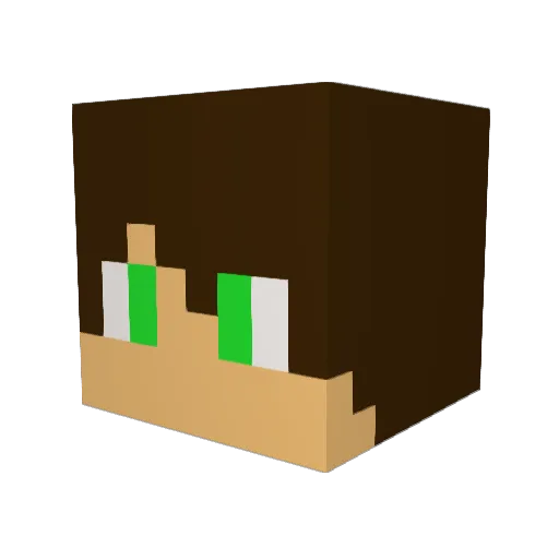 XFuryGamexBR Minecraft avatar head, 3D render