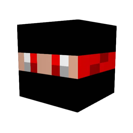 XG0Di Minecraft avatar head, 3D render
