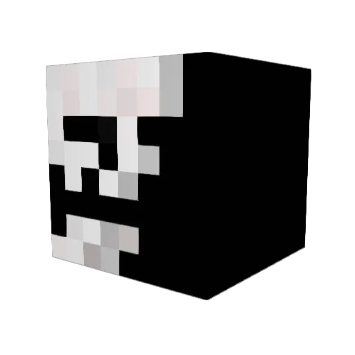 XGamer2020proX Minecraft avatar head, 3D render