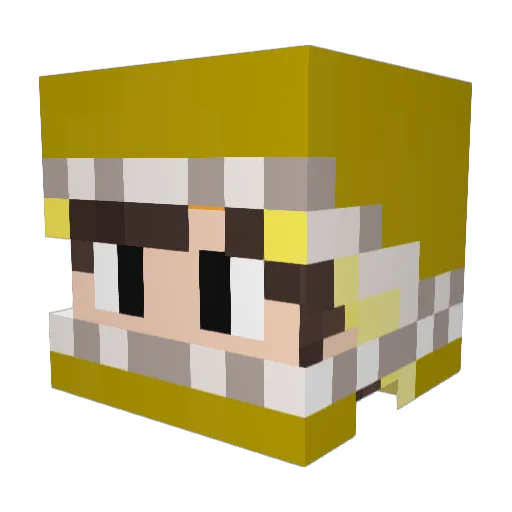 XGamerTR_YT Minecraft avatar head, 3D render