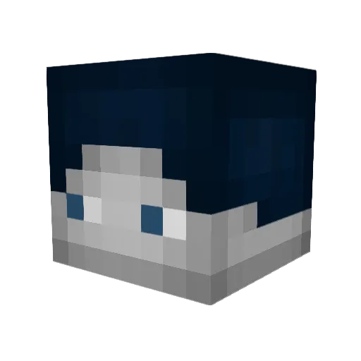 XGaming1511 Minecraft avatar head, 3D render
