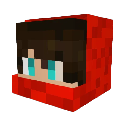 XGamingInsanityX Minecraft avatar head, 3D render