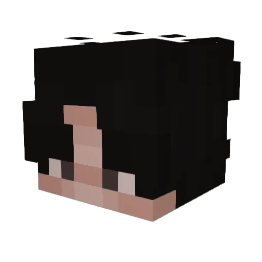 XHER0INXFATHER Minecraft avatar head, 3D render