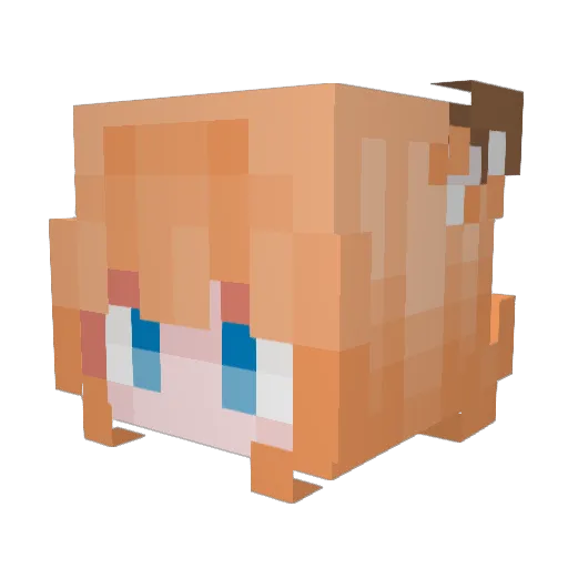 XIFE1N Minecraft avatar head, 3D render