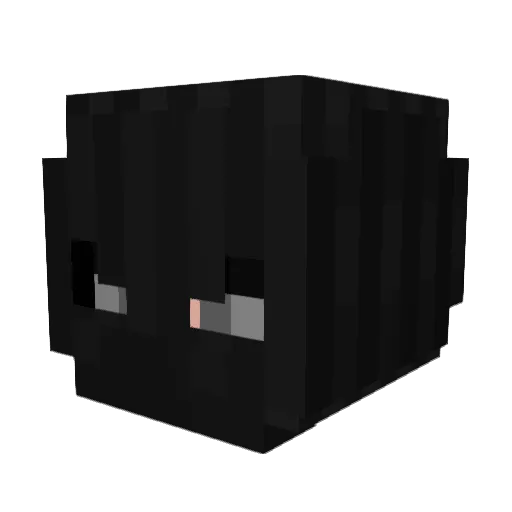 XIIIS Minecraft avatar head, 3D render