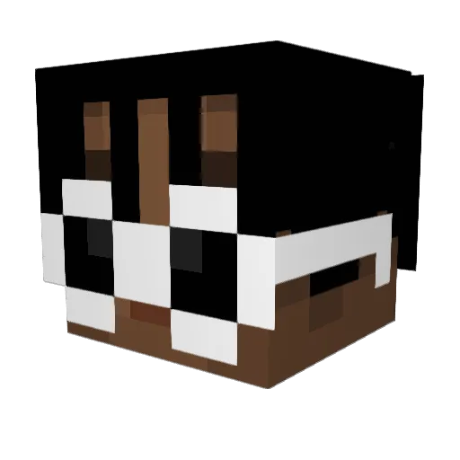 XIRAPSE Minecraft avatar head, 3D render
