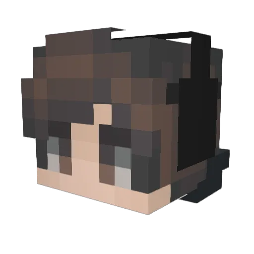 XI_The_ACE_IX Minecraft avatar head, 3D render