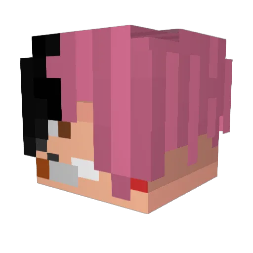 XJankesX Minecraft avatar head, 3D render