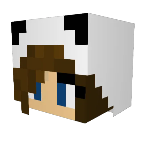 XJolieX Minecraft avatar head, 3D render